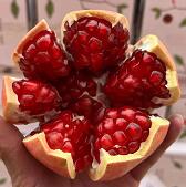 �������ж�