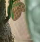 ����