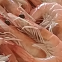 ȥʽ