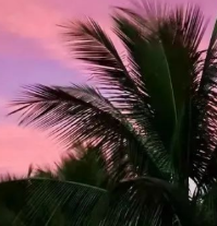 Ҹ