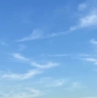 㲻Ҫٺ˵˵