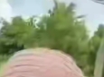 冰城绿意
