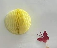 ޳