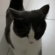 һ˲A