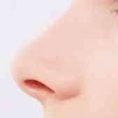 ְҵģ�� ����¡��������