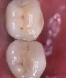 ���˲����ҵ�����Ҳ���ѻ�ʳ����