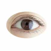 ����˫��Ƥ�� �վ��ӳ����Լ��İ���