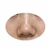 �����˺ܶ��ñ��ӱ���ͦ�ķ��� ȴѡ����¡������