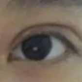 ����˫��Ƥ�� �۾����������͵�����