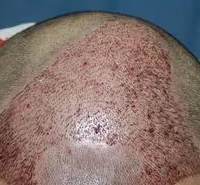 ֲ�����ҵ�������������