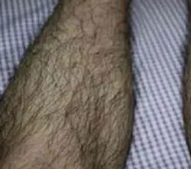 ��ֲ����ë�������ҵ�����ζ