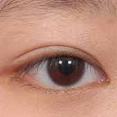 ��˫��Ƥ����ǰ�ĵ��� һ��������