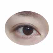 ˫��Ƥ��4�� �۾���������