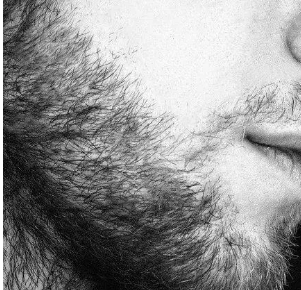 ��ֲ����������ζ������