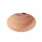 ������ҹ �۴�Խ��Խ������