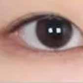 ˫��Ƥ���� �������¶�������˵�ָ��ĺ�����