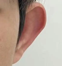 �з��������ɴ��Ҫ������