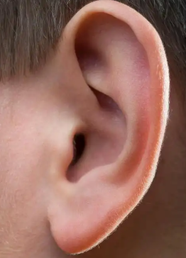 �вƶ��������з��