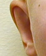 �񡰴����ͼͼ��һ�����з�����вƣ���������----ҽ��˵����������