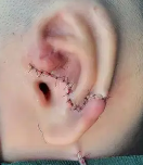 ���ŷ�������������ע������