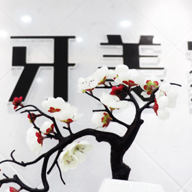 ҿǻﲿ